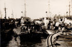 Lying Peacefully in Harbour